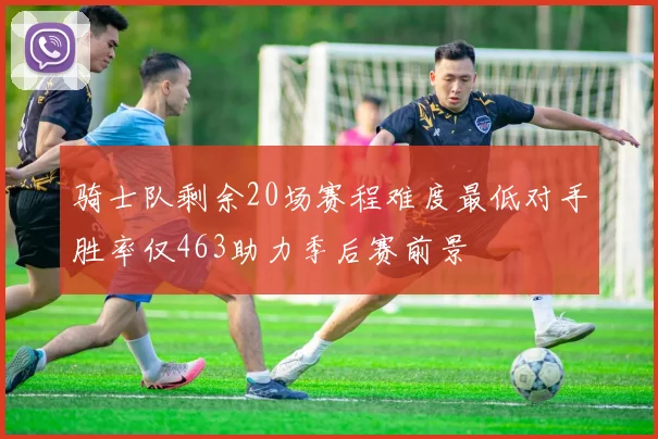 骑士队剩余20场赛程难度最低对手胜率仅463助力季后赛前景
